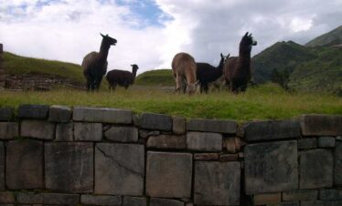 Chavin de Huantar Tour from Huaraz ancient stone temple