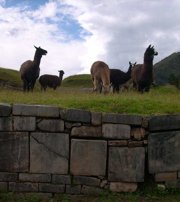 Chavin de Huantar Tour from Huaraz ancient stone temple